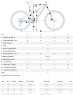 Bicicleta-Mtb-Rise-M-Ltd-2021-Orbea