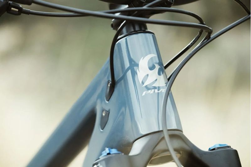 Bicicleta-Shadowcat-Kit-Pro-Xt-Xtr-Pivot
